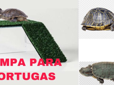 Rampas Tortugas