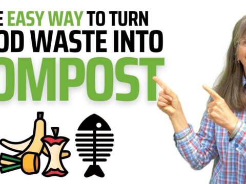 Termometro Compost